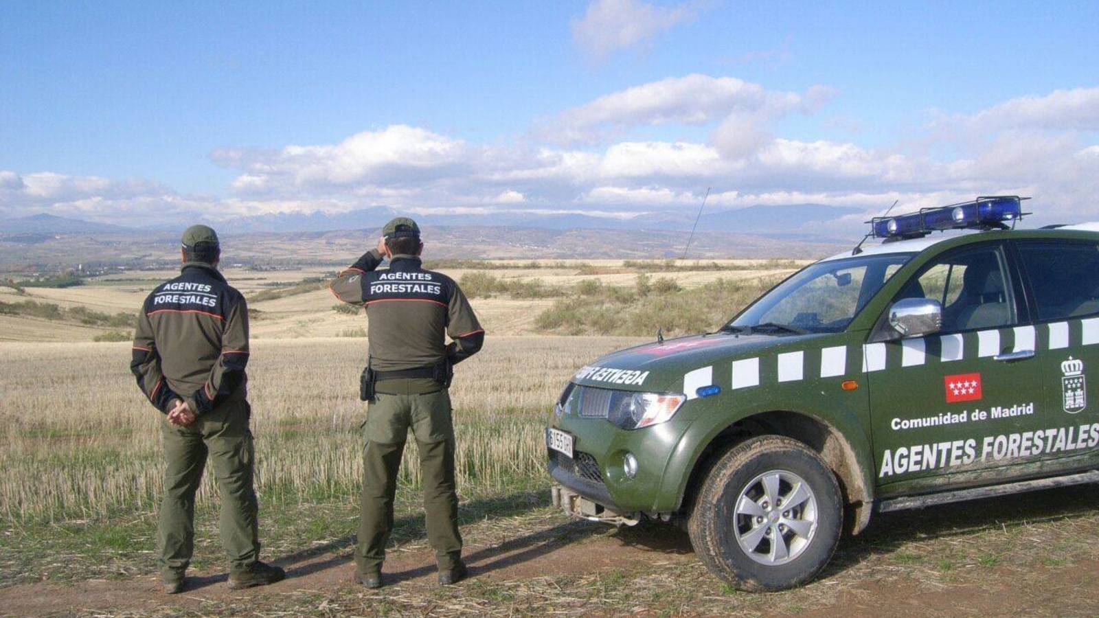 Oposiciones Guarda Forestal Requisitos Plazas Convocatorias Y M S